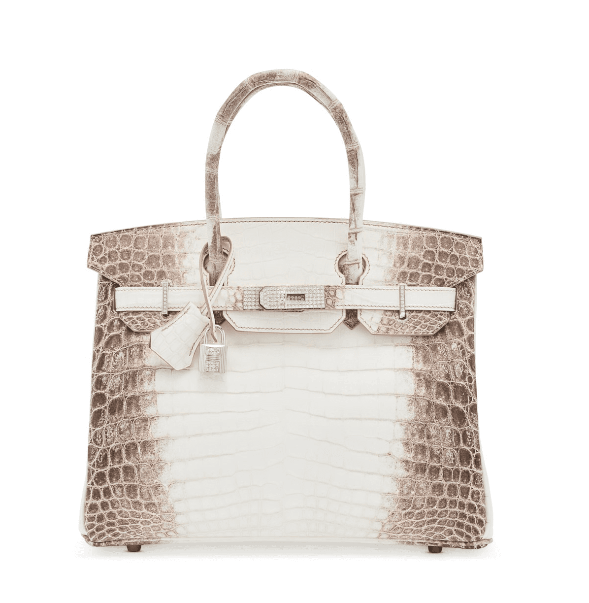 Hermés Himalaya Birkin