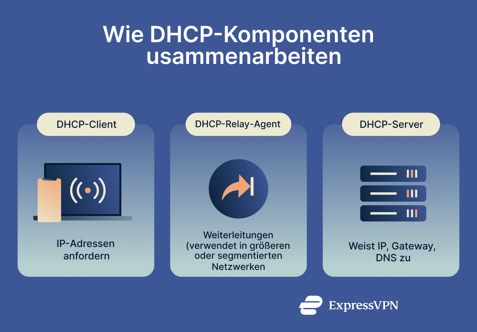 Infographic showing how DHCP components work.