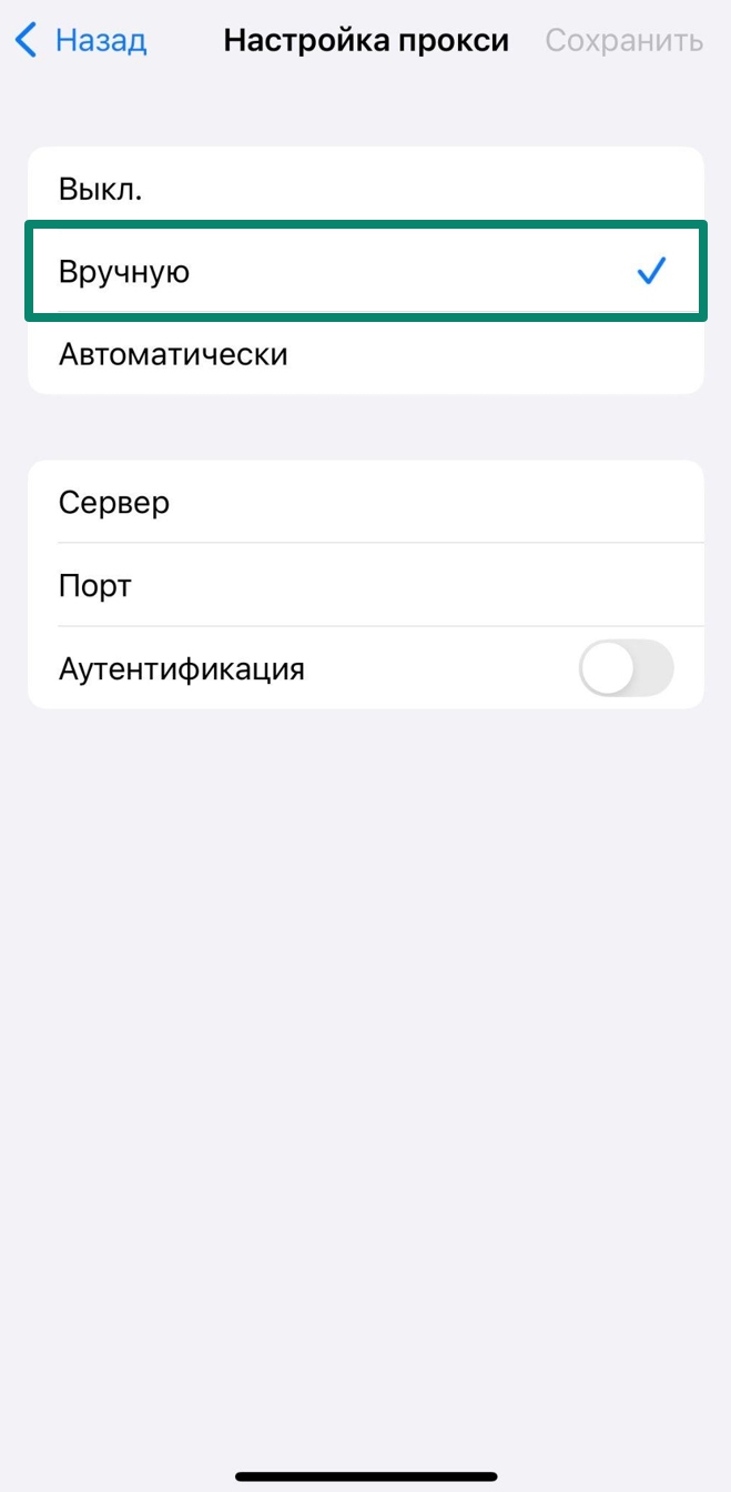 Configure Proxy manual server and port input iPhone