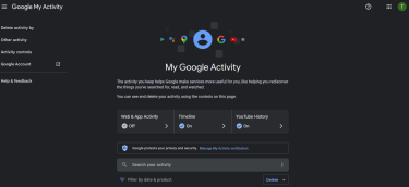 My Google Activity home page.