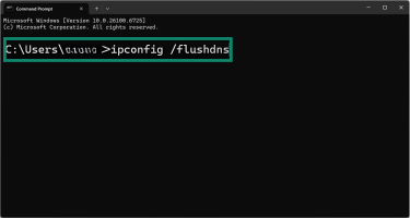 Command Prompt user interface, showing how to Flush DNS addresses.