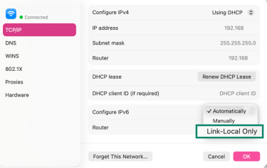 The IPv6 "link-local only" option in the TCP/IP tab.