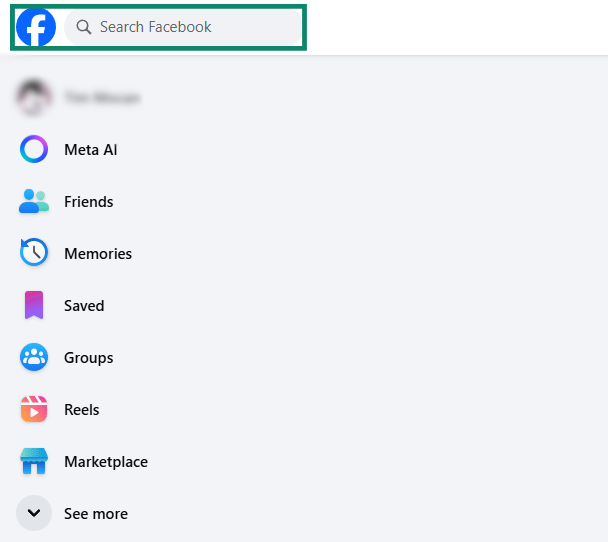 The Facebook profile options on the Facebook Feed. The search bar is highlighted.