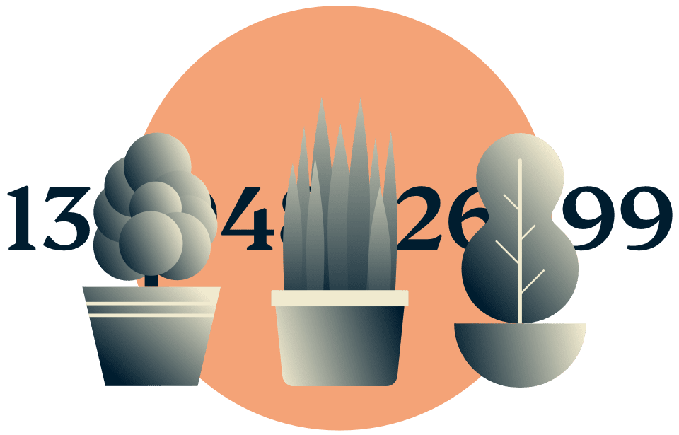 Disimule su dirección IP: plantas en maceta que ocultan una dirección IP.