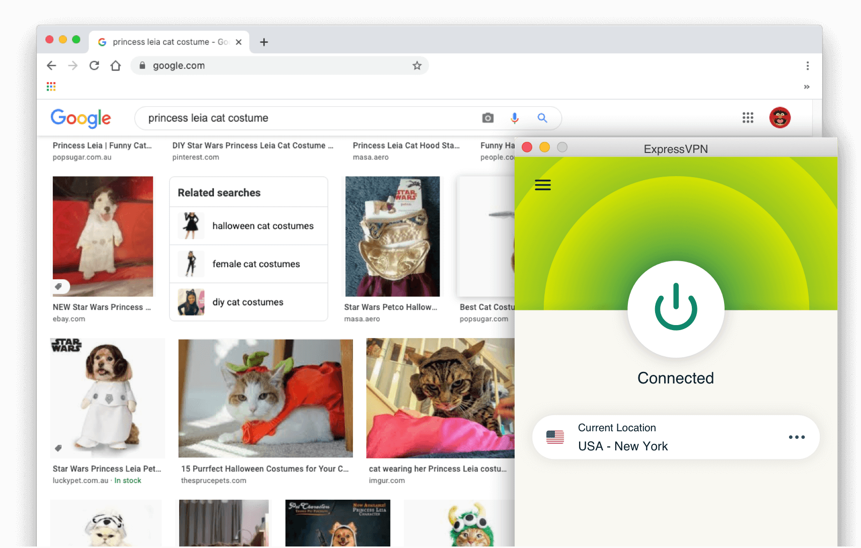 Resultados da pesquisa do Google: Fato de gato Princesa Leia com o ExpressVPN ligado.