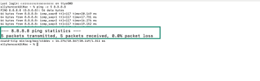 macOS ping results showing packets transmitted, pacers received and packet loss