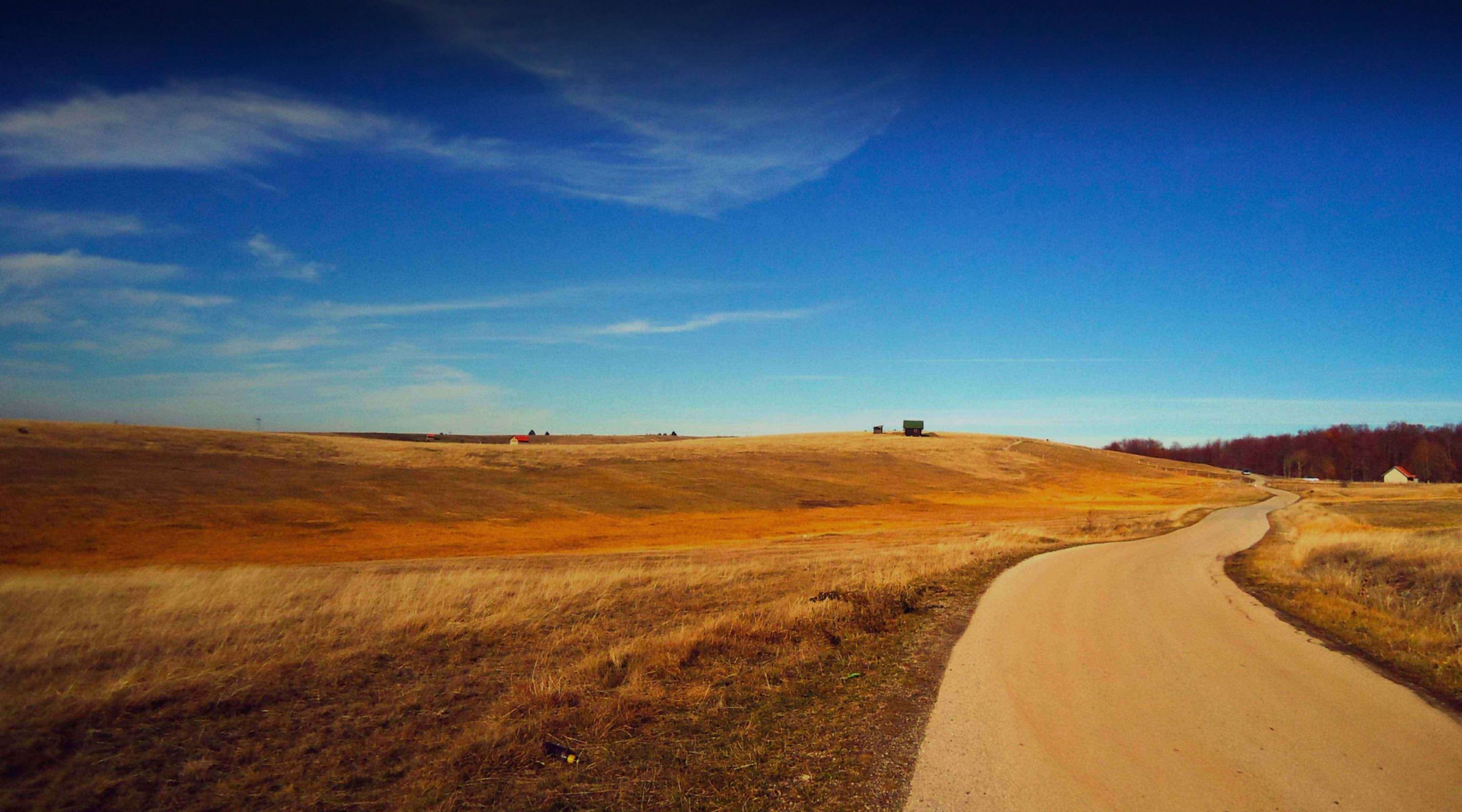 2025년 최고의 세르비아 VPN을 다운로드하세요