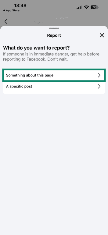 The Report menu in the Facebook app asking whether to report a specific page or specific post.