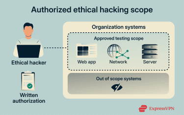 Depiction of scope an ethical hacker can test with written authorization