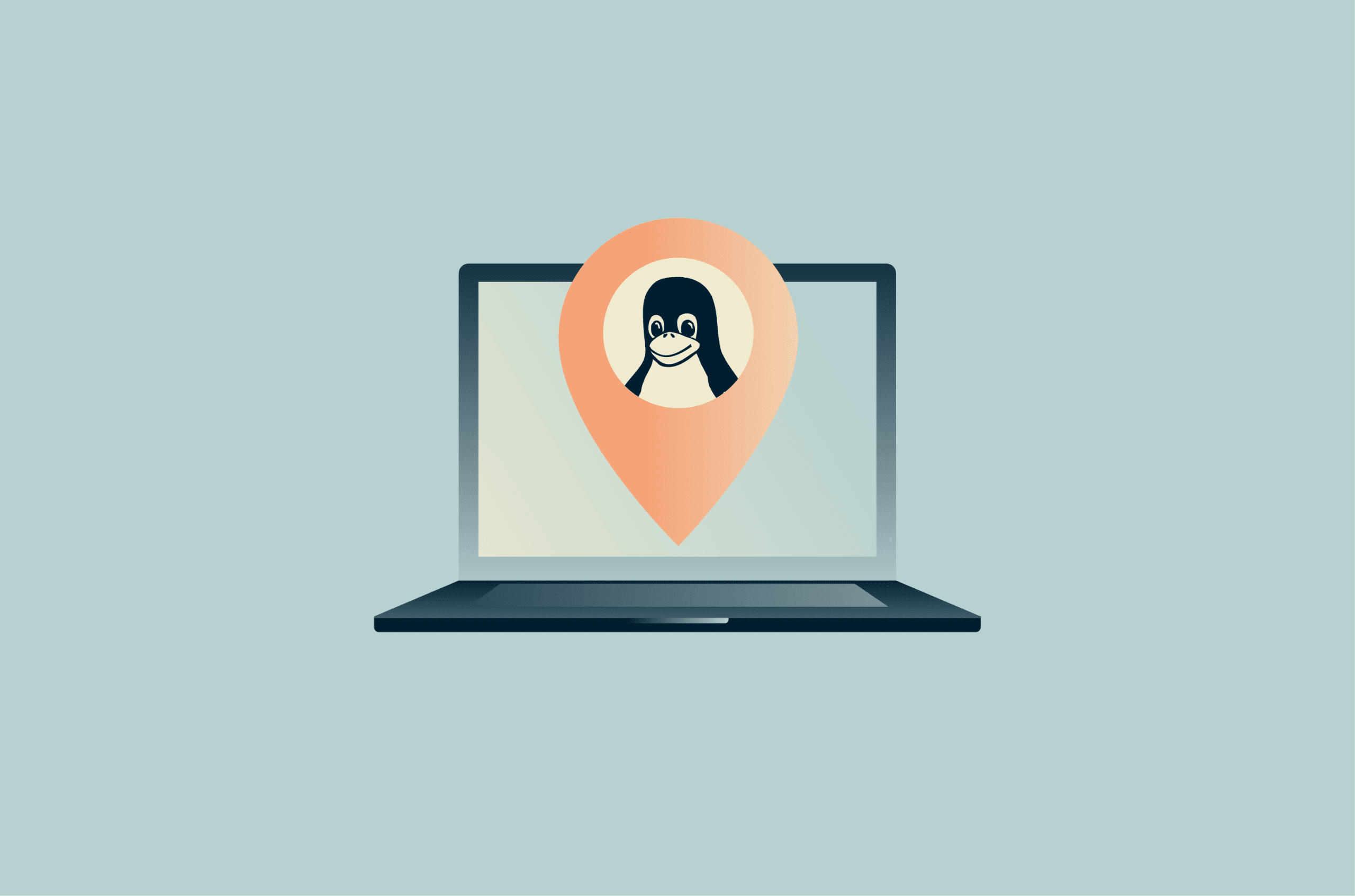 get-linux-ip-address