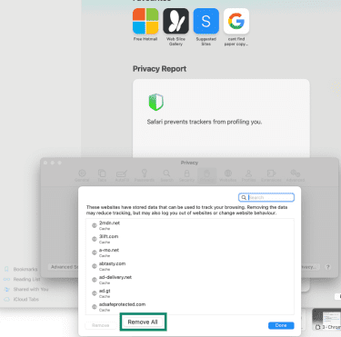 Safari browser remove all cached and cookie data.