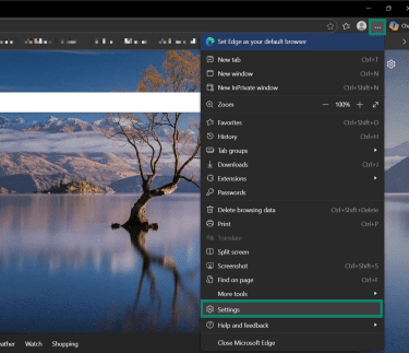 The "Settings" option in Edge in the main menu.