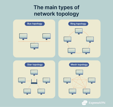 A visual representation of the 4 main types of network topologies.